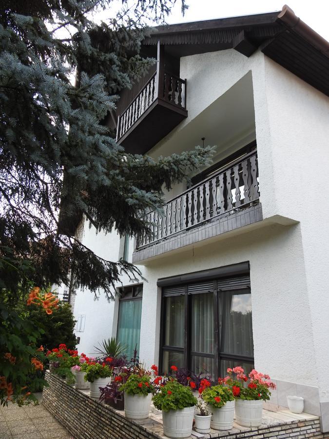 Hotel Haus Gizella Harkány Exterior foto